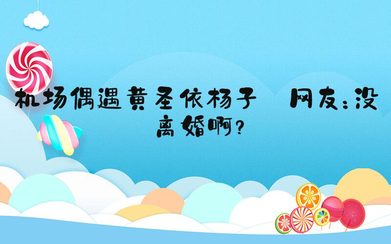 机场偶遇黄圣依杨子 网友：没离婚啊？